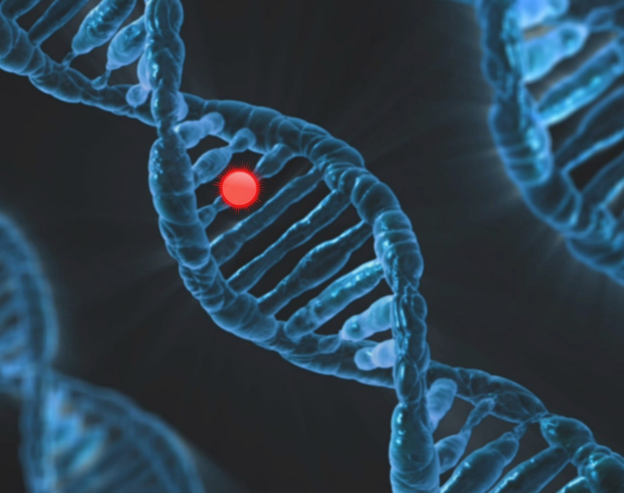 ダイエットの遺伝子検査キット！自分に合った方法を見つけるための科学的アプローチ【理学療法士が解説】